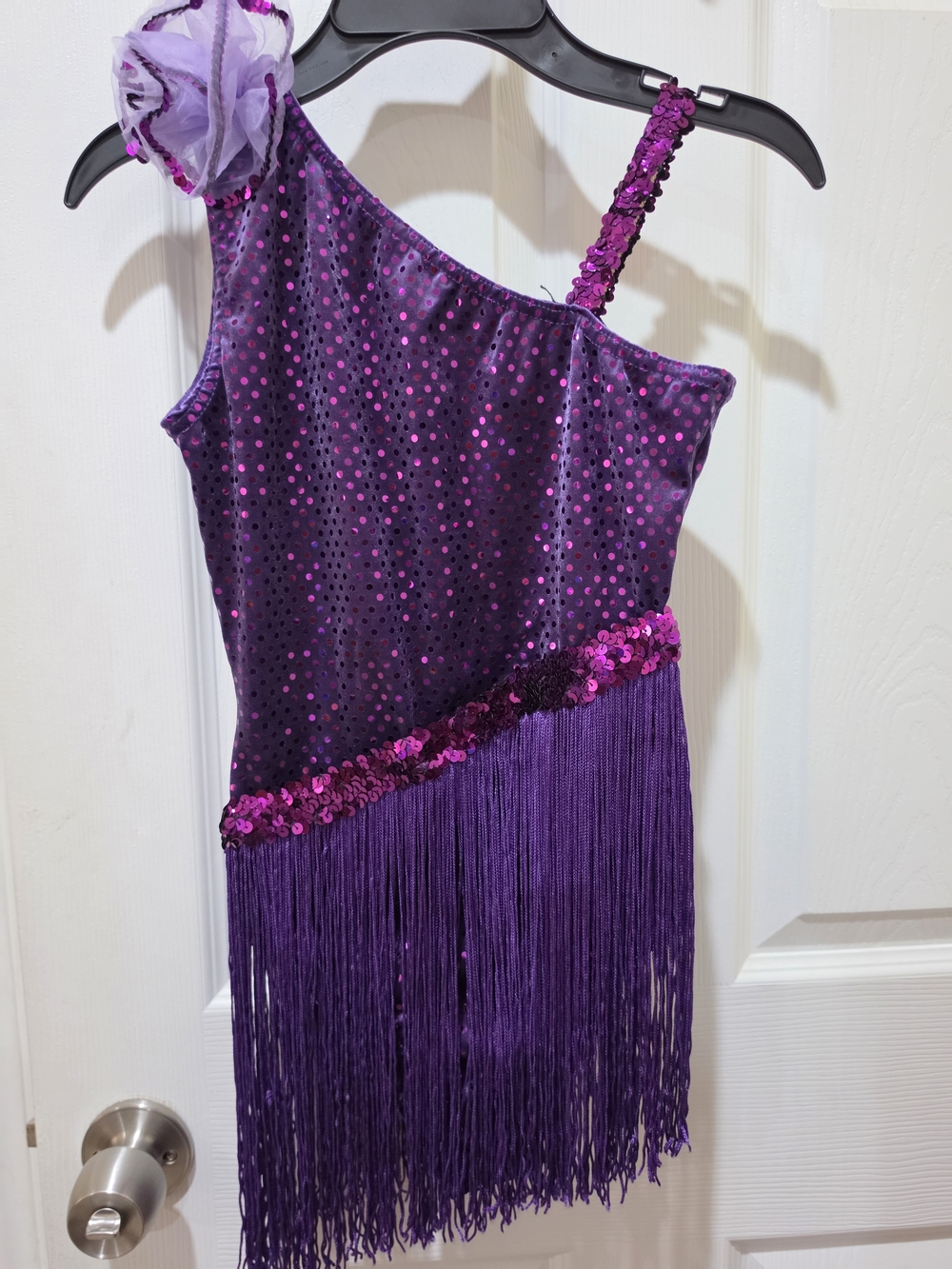 Girls One-Shoulder Purple Sequin Fringe Dance Dress Size Large 10/12